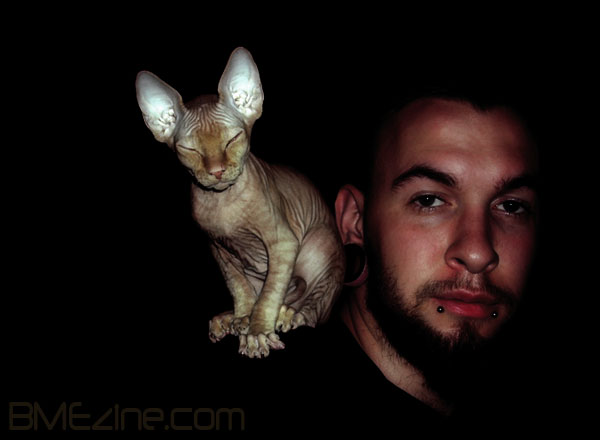 cat-called-kot-meaning-cat