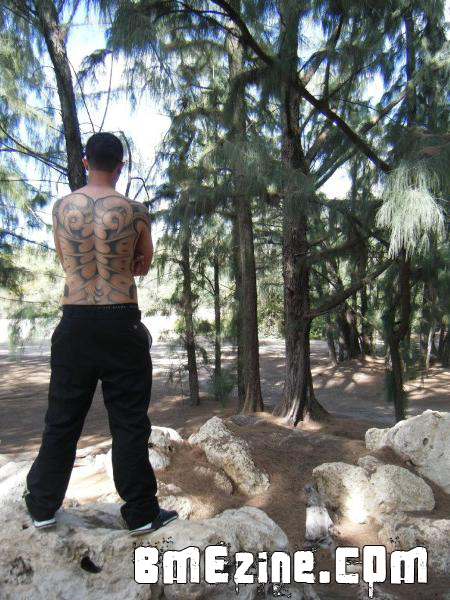 forest-1