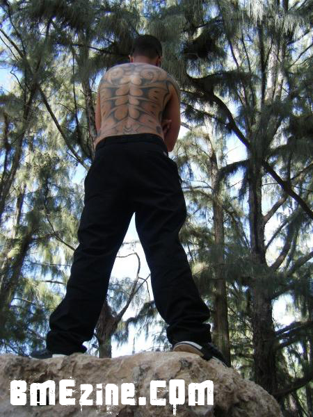 forest-2