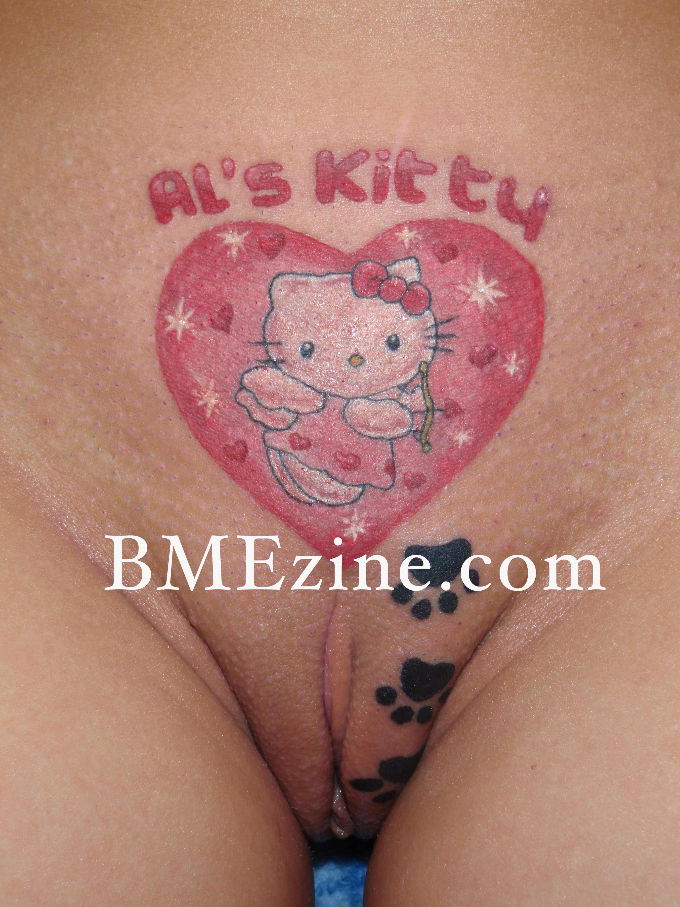 alskitty