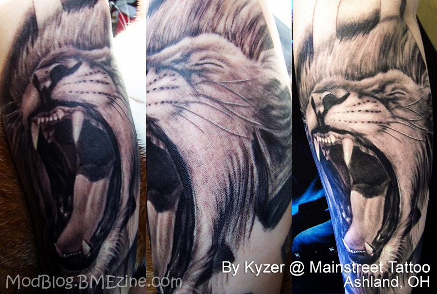 lion