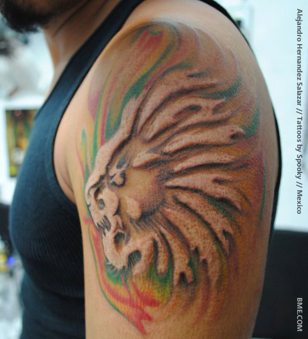 lionscar