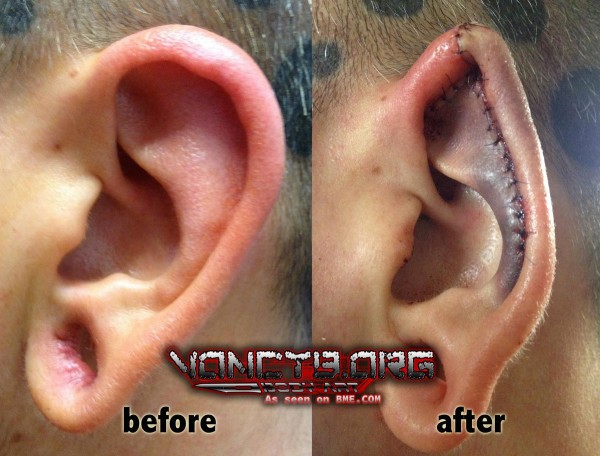 samppa-ear